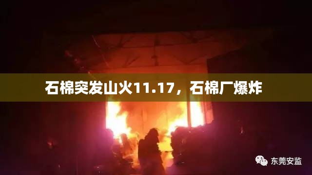zhangchanghuamei 第5页