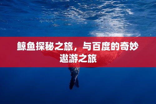 guibuzhaojiao 第6页