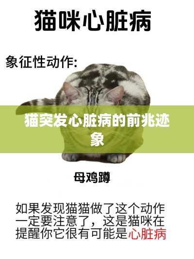 条款 第100页