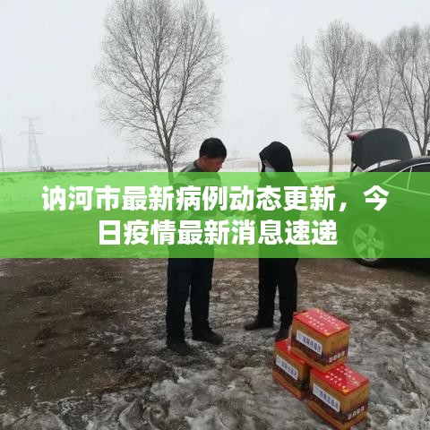 讷河市最新病例动态更新，今日疫情最新消息速递