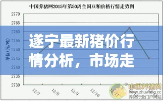 admin 第5页