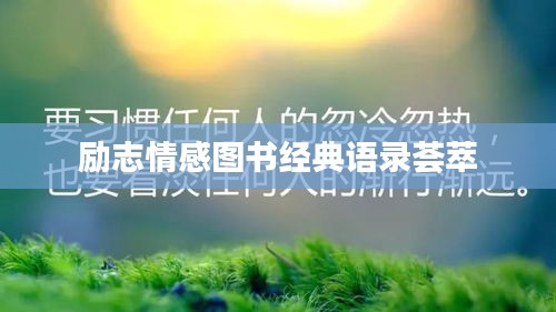 心急如焚 第4页