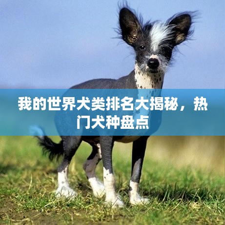 zhengzhongqishi 第5页