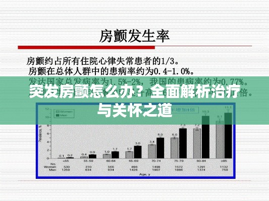 条款 第85页