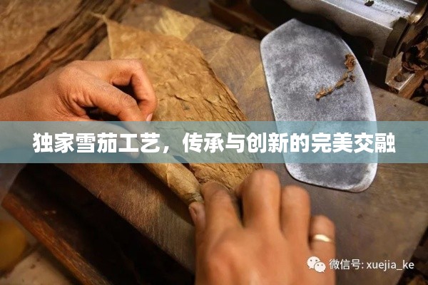 bainiaozhaofeng 第5页