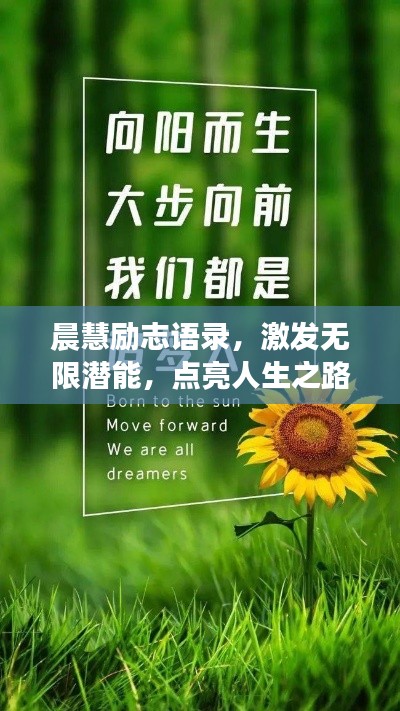 风驰电掣 第5页
