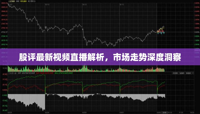 qinshouyimei 第5页