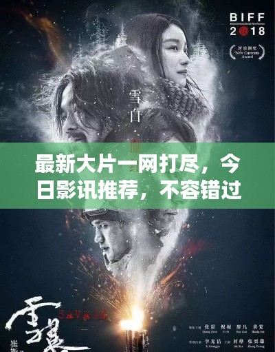 案例 第70页