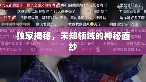 mantianfeiwu 第4页