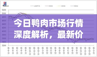 cuzhidaye 第4页