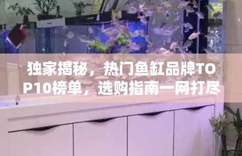 fuguibirenlai 第4页