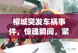 zizhenjuzhuo 第3页