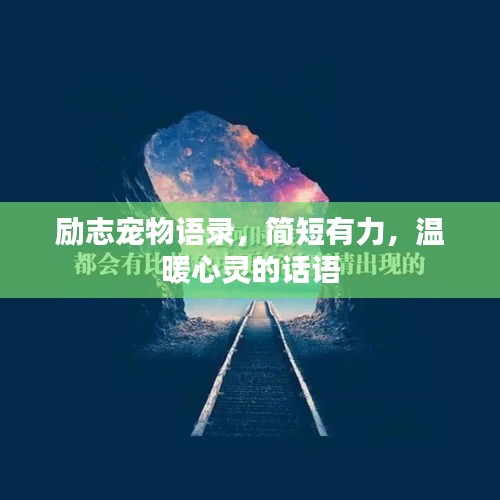 励志宠物语录，简短有力，温暖心灵的话语