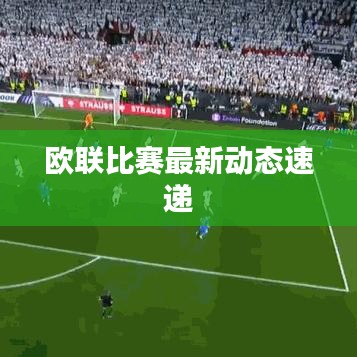 guichujianshou 第3页