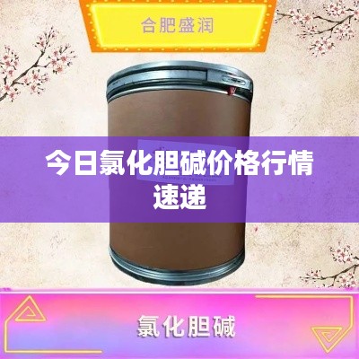 bupiwaqi 第2页
