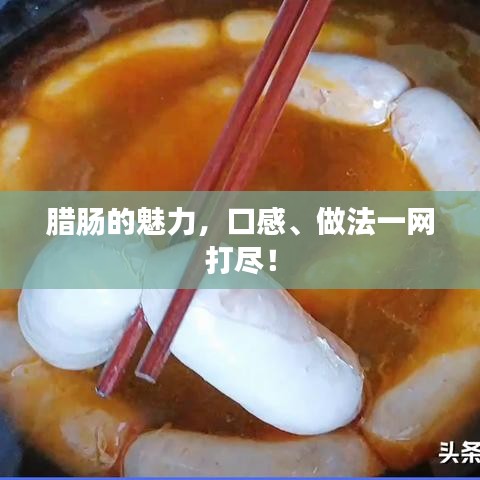 dushihaoxue 第3页