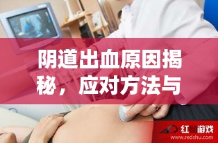 buchixiawen 第2页