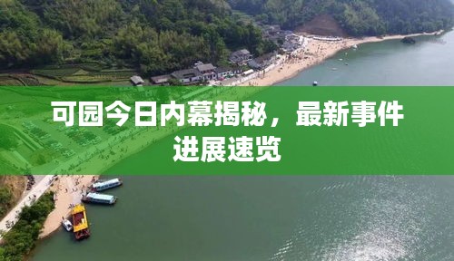 jujianyonggui 第2页