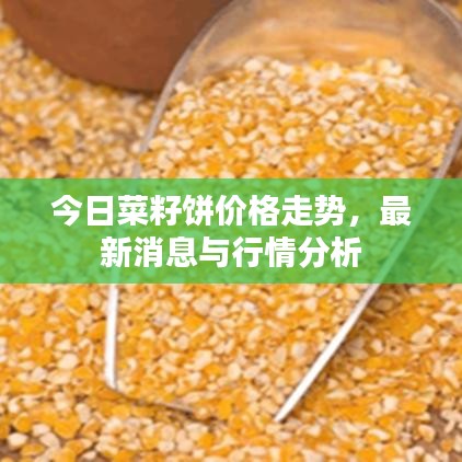 guichujianshou 第2页