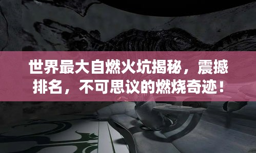 案例 第6页