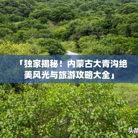 新闻 第4页