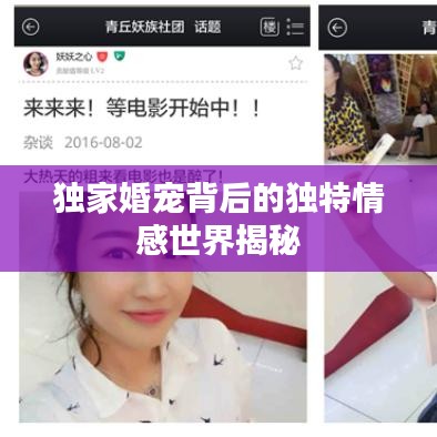 评价 第4页