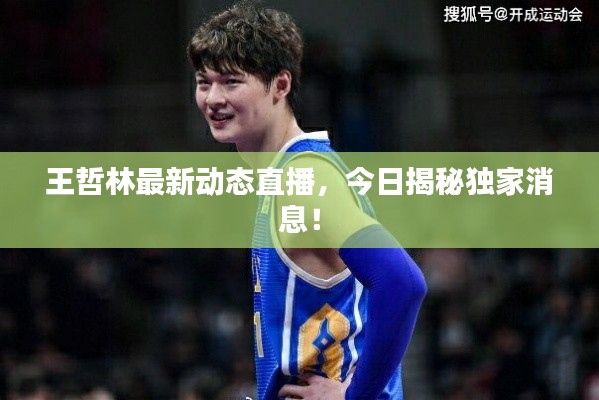 bainiaozhaofeng