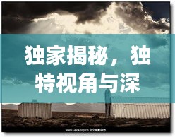 独家揭秘，独特视角与深度洞察的探索之旅