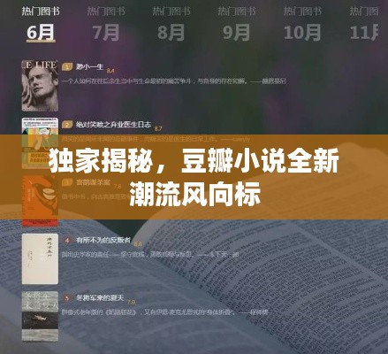 独家揭秘，豆瓣小说全新潮流风向标