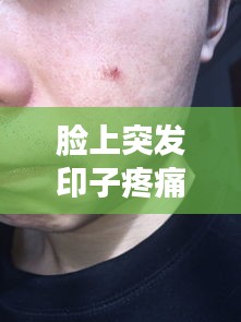 新闻 第13页